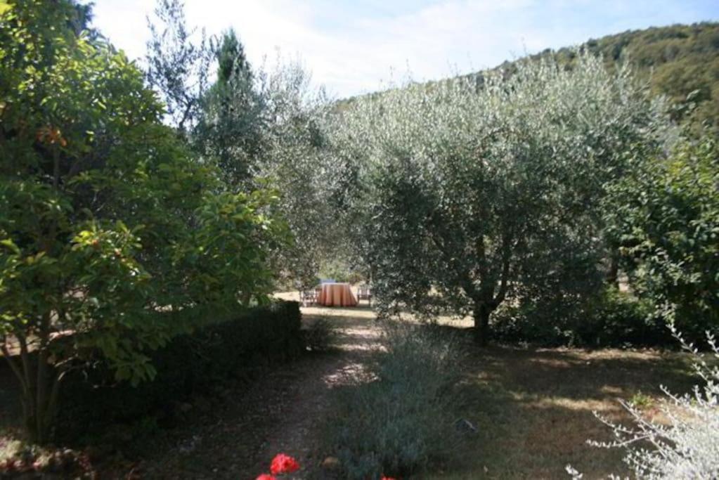 Villa Podere Gli Oppi Toscana Petroio Exterior foto