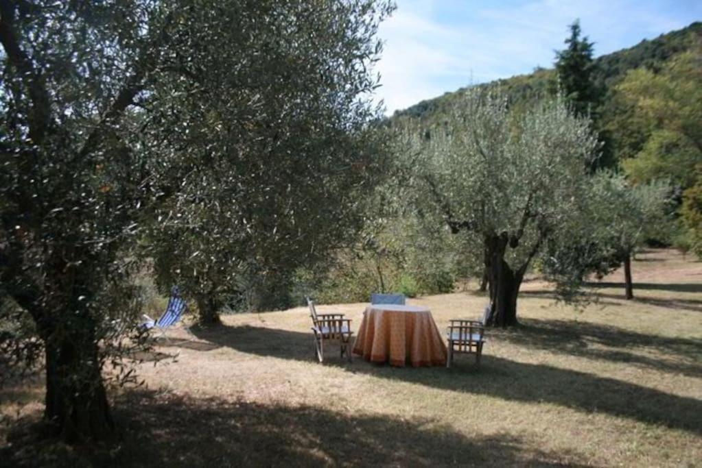 Villa Podere Gli Oppi Toscana Petroio Exterior foto
